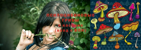 COCAINE Снежногорск