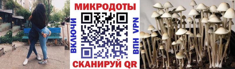 Галлюциногенные грибы Magic Shrooms дарнет шоп Верхотурье